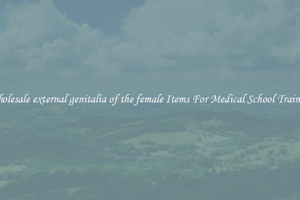 Wholesale external genitalia of the female Items For Medical School Training