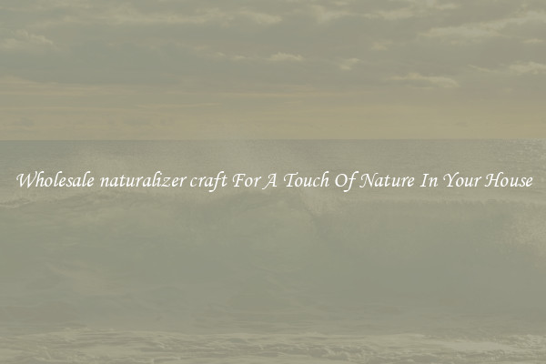 Wholesale naturalizer craft For A Touch Of Nature In Your House