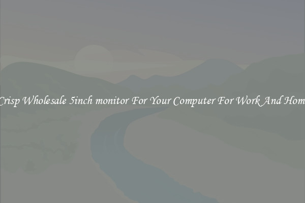 Crisp Wholesale 5inch monitor For Your Computer For Work And Home