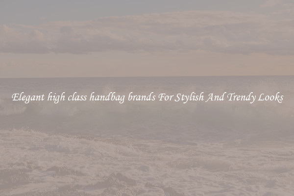 Elegant high class handbag brands For Stylish And Trendy Looks