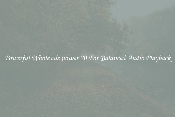 Powerful Wholesale power 20 For Balanced Audio Playback