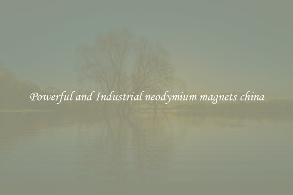 Powerful and Industrial neodymium magnets china