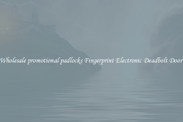 Wholesale promotional padlocks Fingerprint Electronic Deadbolt Door 
