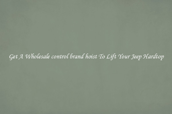 Get A Wholesale control brand hoist To Lift Your Jeep Hardtop