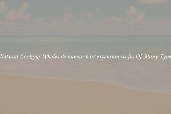 Natural Looking Wholesale human hair extension wefts Of Many Types