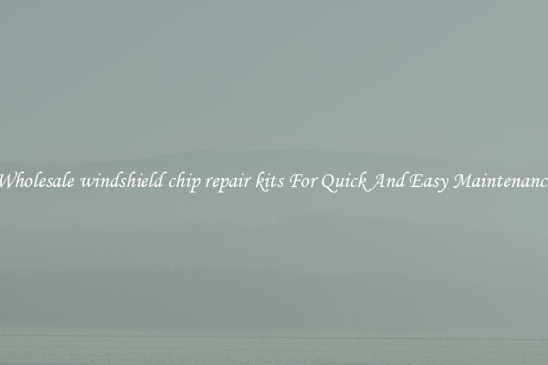 Wholesale windshield chip repair kits For Quick And Easy Maintenance