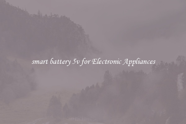 smart battery 5v for Electronic Appliances