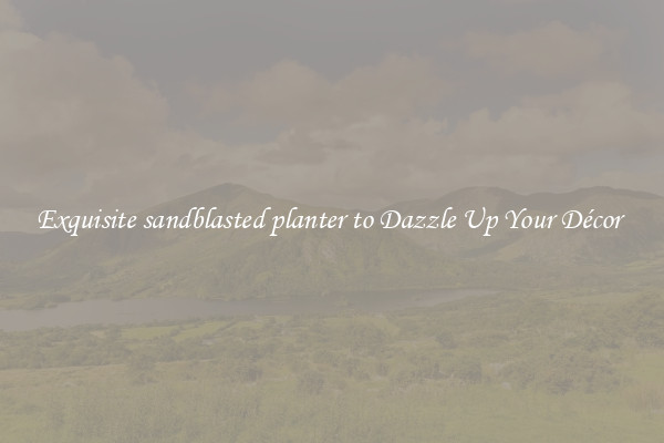 Exquisite sandblasted planter to Dazzle Up Your Décor 