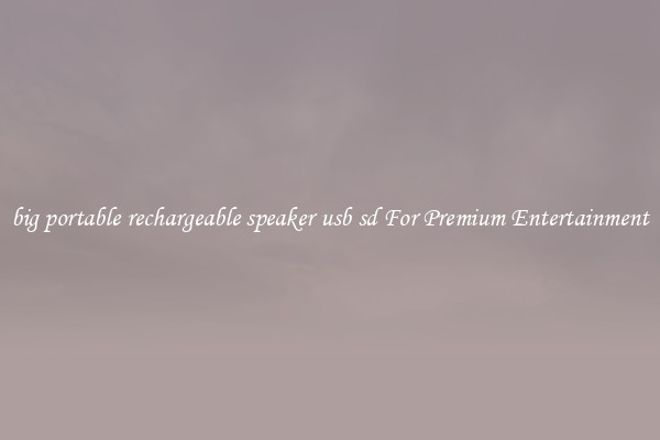 big portable rechargeable speaker usb sd For Premium Entertainment