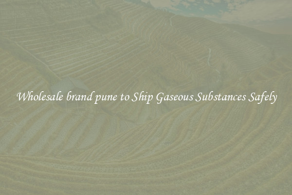 Wholesale brand pune to Ship Gaseous Substances Safely
