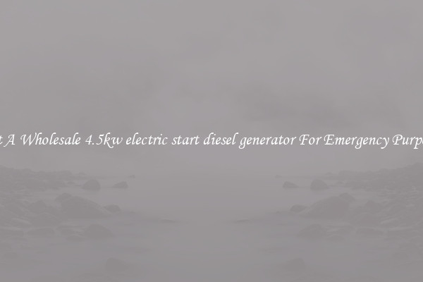 Get A Wholesale 4.5kw electric start diesel generator For Emergency Purposes